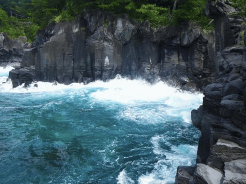 From Tokyo: Private Day Trip to Izu & Shimoda, Shizuoka - Your English Guide (and Why Dai Gets Mentioned)