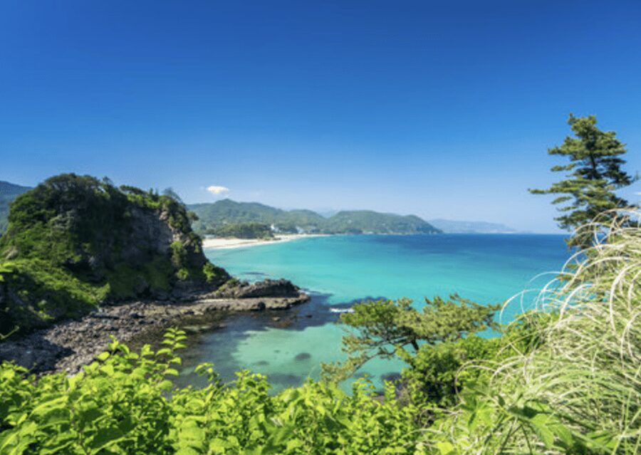 From Tokyo: Private Day Trip to Izu & Shimoda, Shizuoka - From Tokyo: How the Journey Affects Your Day (and Your Comfort)