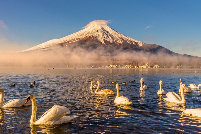 From Tokyo: Private Day Trip to Mount Fuji & Fuji Five lakes - Key highlights you’ll care about