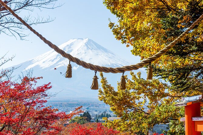From Tokyo: Private Day Trip to Mount Fuji & Fuji Five lakes - First Stop: Kitaguchi Hongu Fuji Sengen Jinja Shrine
