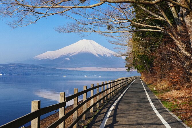 From Tokyo: Private Day Trip to Mount Fuji & Fuji Five lakes - Lake Kawaguchiko and the included boat cruise