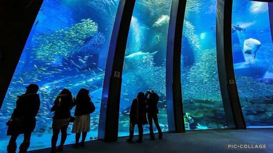 From Tokyo: Private Full day Yokohama Tour w/Hotel Pick up - Private Pick-Up From Tokyo: The Real Advantage Is Time