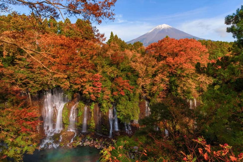 From Tokyo: Private JDM/Sports Car Tour to Mt Fuji & Hakone - Tenzan Onsen: lunch plus real downtime