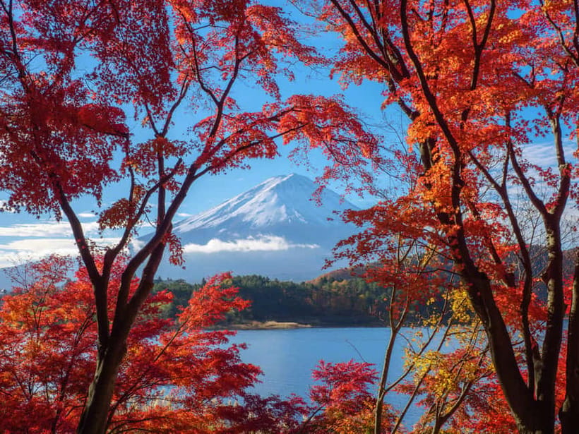 From Tokyo: Private Motorcycle Tour - Fuji, Hakone, Onsen - Tenzan Onsen: tattoo-friendly soaking plus lunch that actually restores you