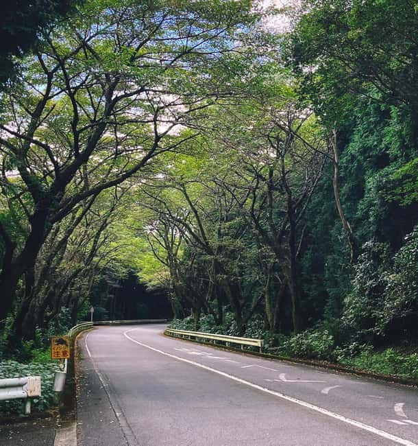 From Tokyo: Private Motorcycle Tour - Fuji, Hakone, Onsen - Hakone Open-Air Museum and the Pola Museum of Art: culture without the “too much” feeling