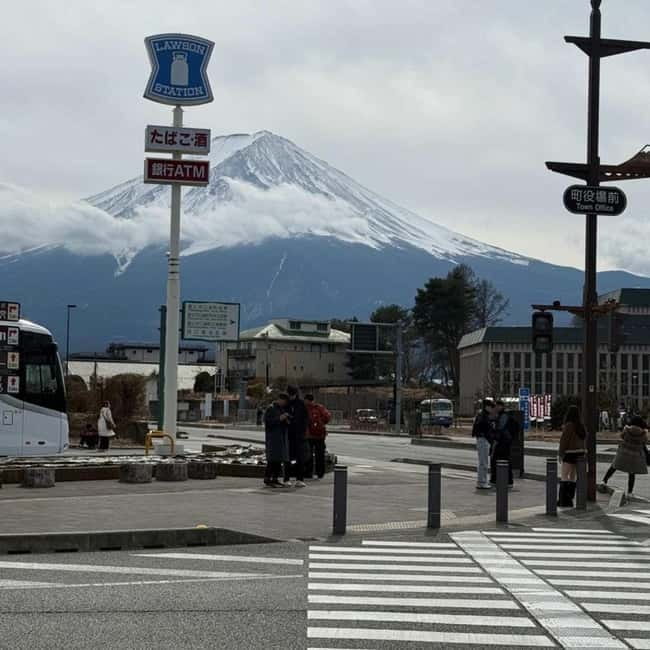 From Tokyo Private Mount Fuji & Hakone Day Trip With Pick Up - Private Mount Fuji and Hakone: Why this day trip feels different from bus tours