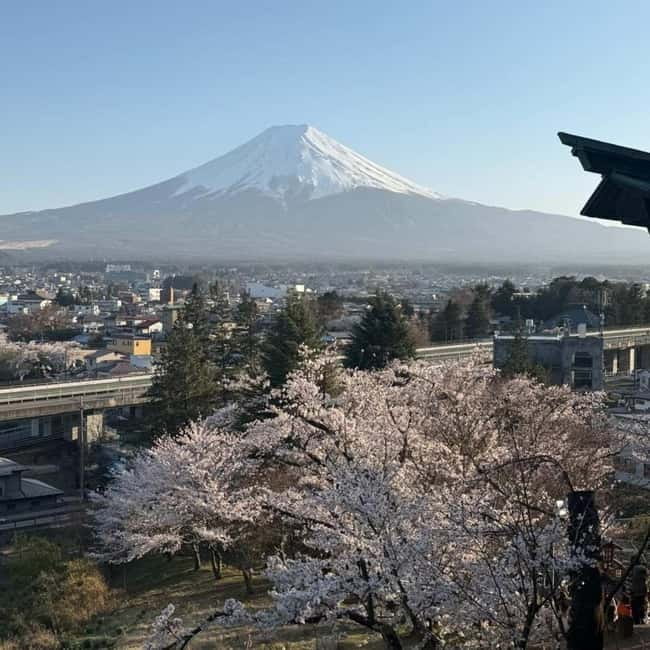 From Tokyo Private Mount Fuji & Hakone Day Trip With Pick Up - Oishi Park: Seasonal flowers with a Fuji backdrop