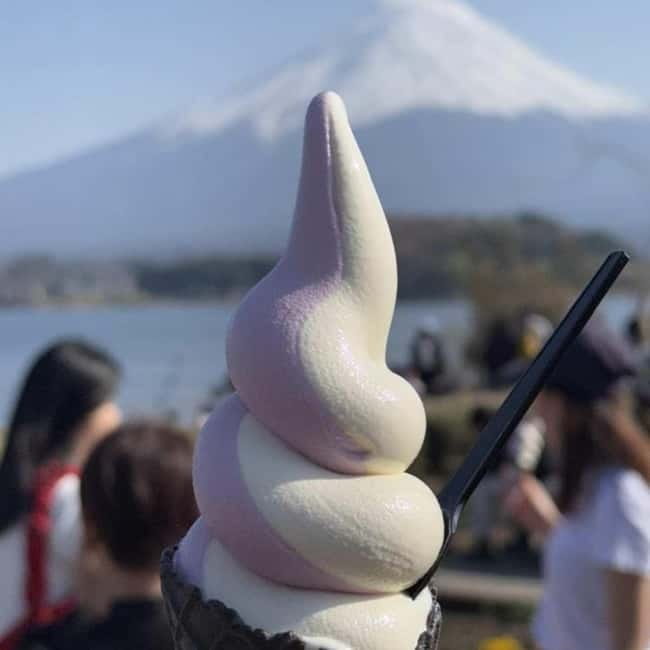 From Tokyo Private Mount Fuji & Hakone Day Trip With Pick Up - Hakone Ropeway: Volcanic scenery from above