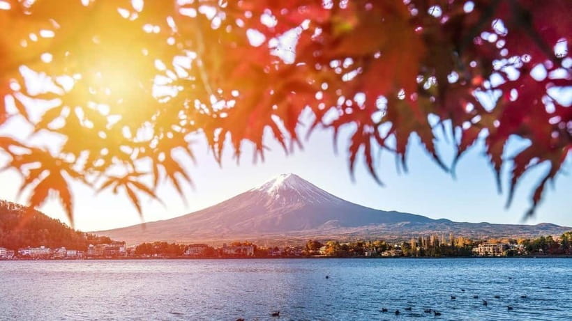 From Tokyo: Private Mt. Fuji and Hakone Tour by Car - Key Points That Matter Before You Go