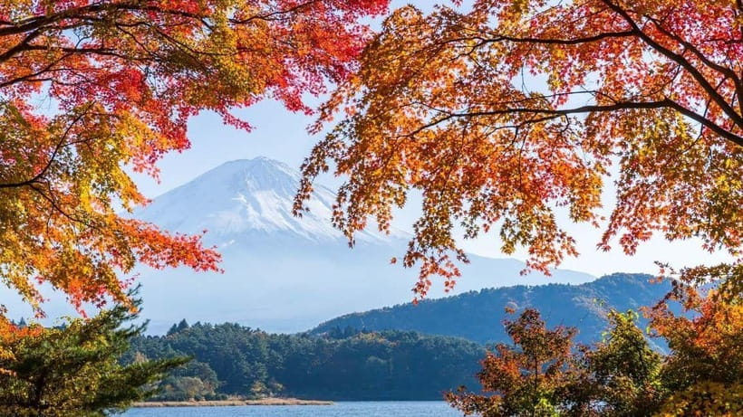 From Tokyo: Private Mt. Fuji and Hakone Tour by Car - A Private Car Day to Hakone and Mt. Fuji That Feels Built for Real Life