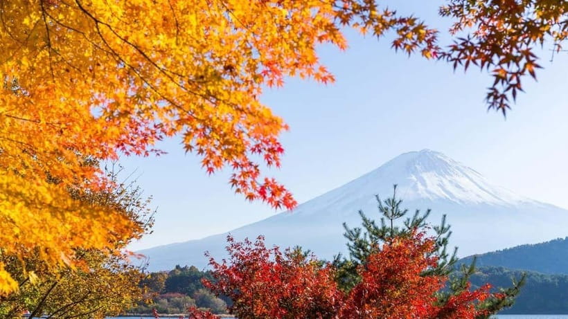 From Tokyo: Private Mt. Fuji and Hakone Tour by Car - Gotemba Premium Outlets at the End: When Shopping Beats Waiting