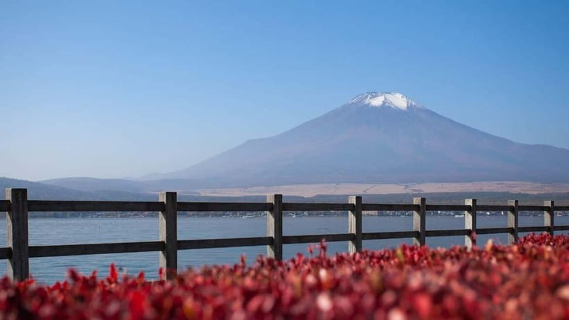 From Tokyo: Private Mt. Fuji and Hakone Tour by Car - What You Really Get From the Driver (Beyond Getting There)