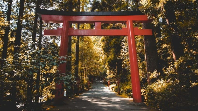 From Tokyo: Private Mt. Fuji and Hakone Tour by Car - Price and Value: $488 Per Group Up to 5