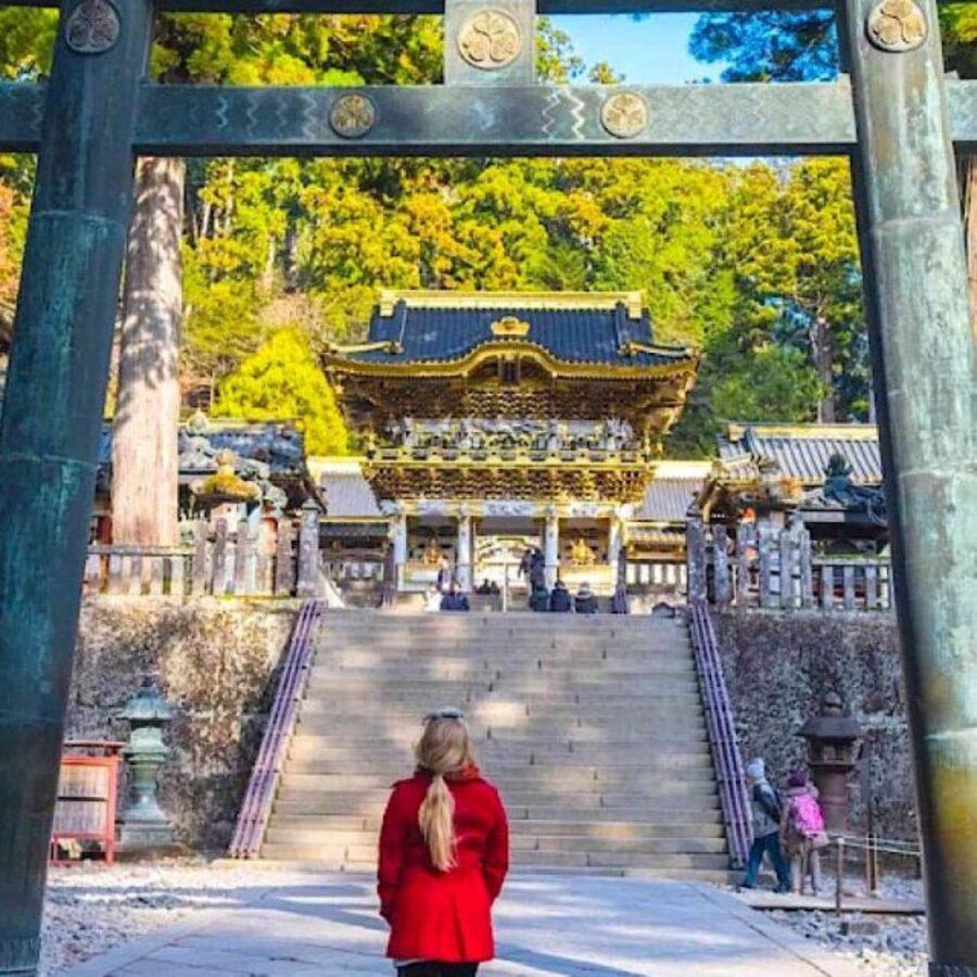 From Tokyo: Private Nikko World Heritage Sights One Day Trip - Who this tour suits best