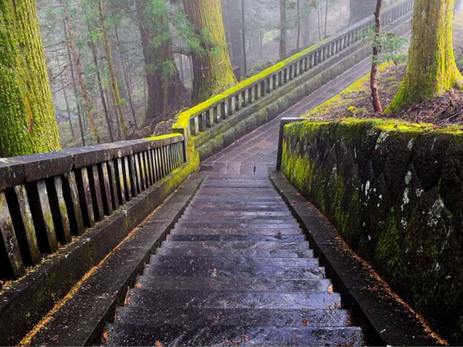 From Tokyo: Private Nikko World Heritage Sights One Day Trip - Kegon Falls: the must-see payoff, with two viewing styles