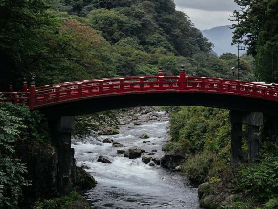 From Tokyo: Private Nikko World Heritage Sights One Day Trip - Tochigi prefecture photo stop and Edo Wonderland: the non-temple texture