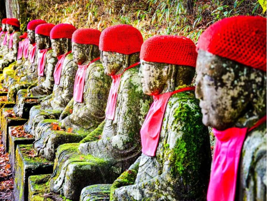 From Tokyo: Private Nikko World Heritage Sights One Day Trip - Nikko Toshogu Shrine: the UNESCO hour that actually works