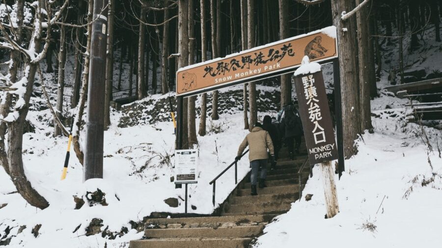 From Tokyo: Private Tour Snow Monkey Park & Zenko-ji Temple - Matsushiro Castle Ruins: samurai-era atmosphere in a shorter time block