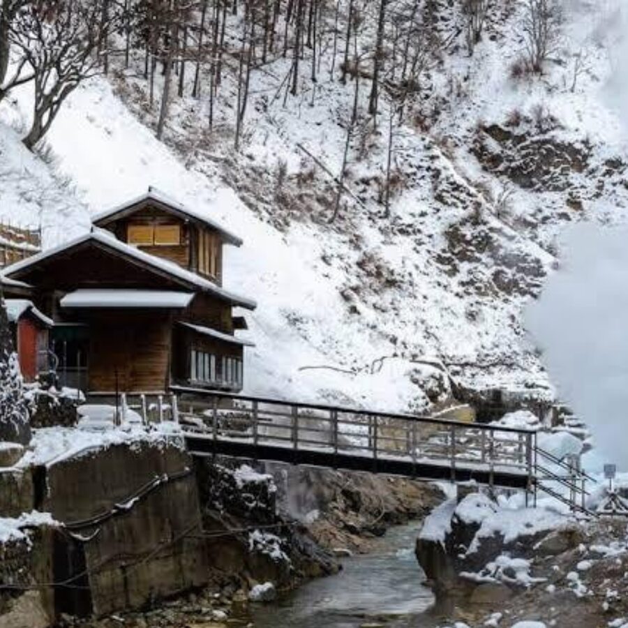From Tokyo: Private Tour Snow Monkey Park & Zenko-ji Temple - Shibu Onsen: a traditional onsen-town pause (and where the time goes)
