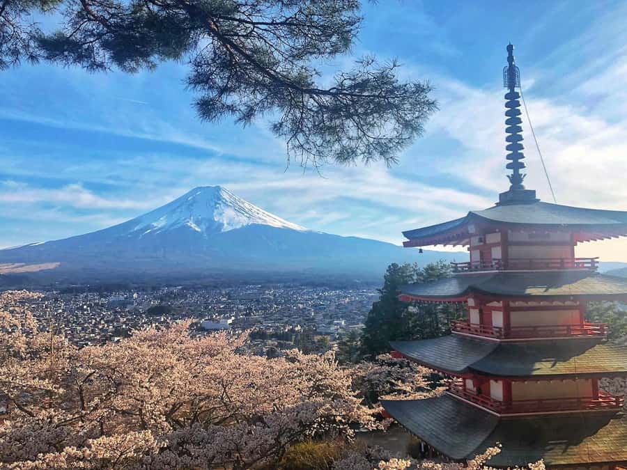 From Tokyo: Private Trip to Mount Fuji and Lake Kawaguchi - Why a Private Fuji Circuit Feels Easier Than Public Transit