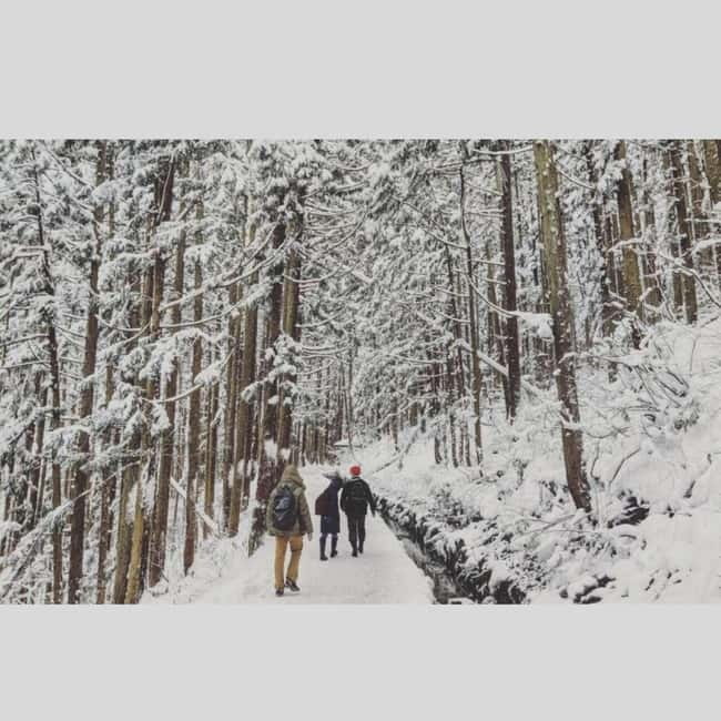 From Tokyo: Snow Monkey Park and Miso Production Day Tour - Private Nagano Day Trip With Door-to-Door Luxury Transfers