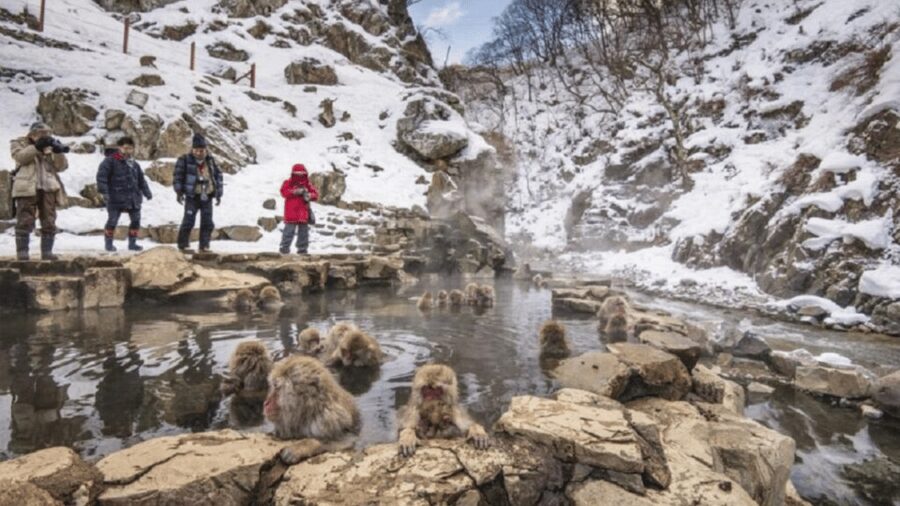 From Tokyo: Snow Monkey Park and Miso Production Day Tour - Shibu Onsen: The Best Kind of Finish After Long Mountain Roads
