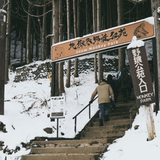 From Tokyo: Snow Monkey Park & Zenko-ji Temple Private Tour - Key things to know before you go