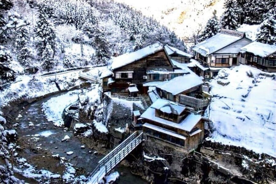 From Tokyo: Snow Monkey Private Customize Day Tour - The Driver Matters: When Weather Hits and Plans Flex
