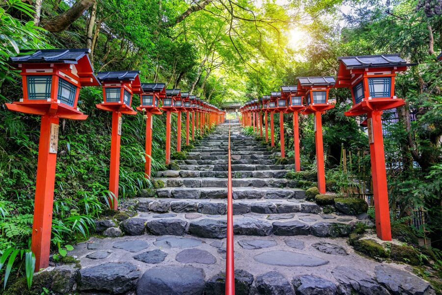 From Tokyo: Snow Monkeys and Zenkoji Temple Day Trip - Drivers, comfort, and schedule handling: why the ride quality matters