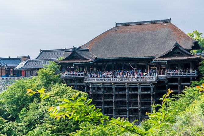 From Tokyo to Kyoto and Nara: A Captivating Full-Day Private Tour - A Kyoto-and-Nara day trip that actually respects your time