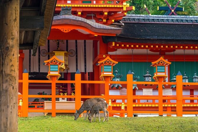 From Tokyo to Kyoto and Nara: A Captivating Full-Day Private Tour - Gion: historic streets with real atmosphere