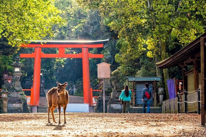 From Tokyo to Kyoto and Nara: A Captivating Full-Day Private Tour - Fushimi Inari-taisha: torii gates and a leg workout