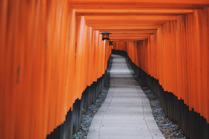 From Tokyo to Kyoto and Nara: A Captivating Full-Day Private Tour - Getting bullet train stress out of your day
