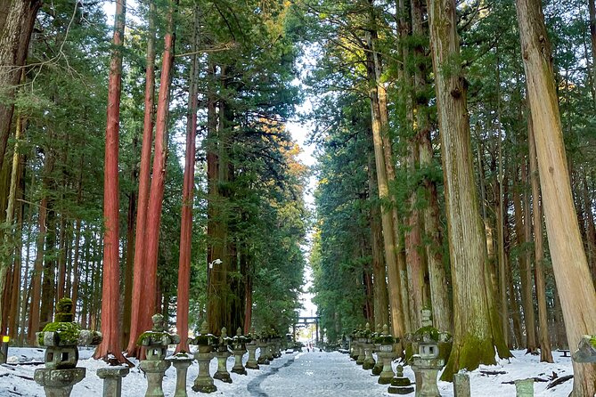From Tokyo to Mount Fuji! Private Car Tour by Eng Speaking Driver - A private car day from Tokyo that feels like you’re in charge