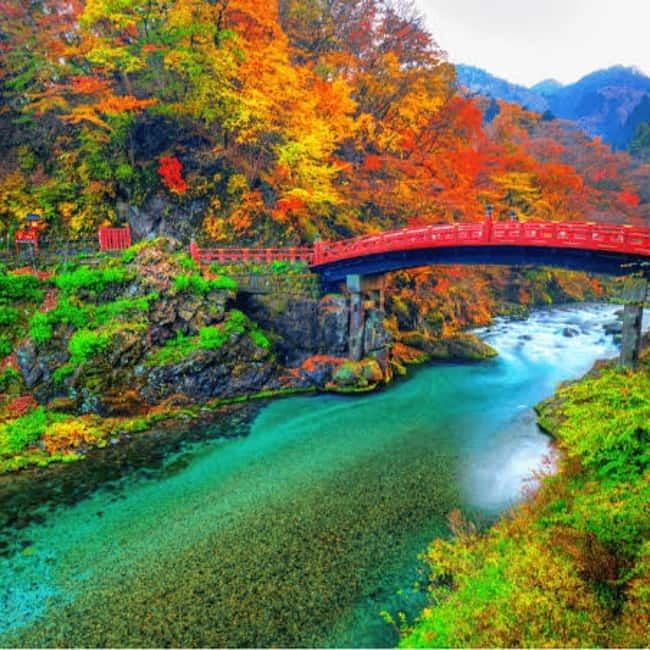 From Tokyo To Nikko Private Day Tour With English Guide - Kegon Falls: nature that gets its own 45 minutes