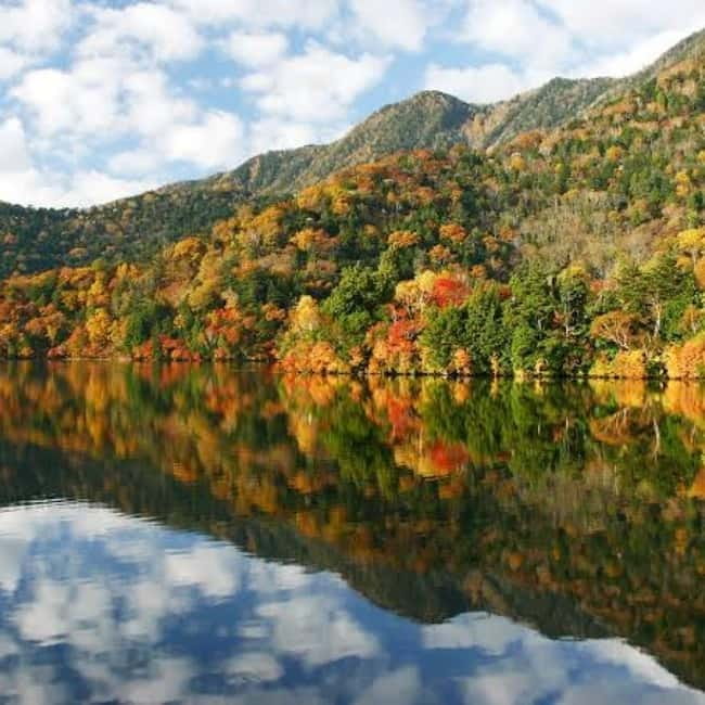 From Tokyo To Nikko Private Day Tour With English Guide - Shinkyo Bridge: short stop, best used with a plan