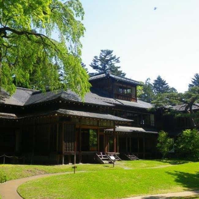 From Tokyo To Nikko Private Day Tour With English Guide - Nikko city break plus three different stops in one run