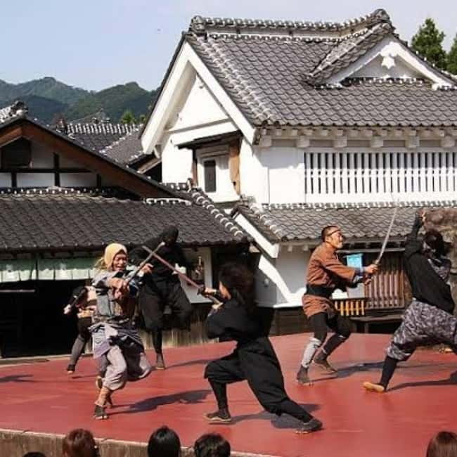 From Tokyo To Nikko Private Day Tour With English Guide - Toshogu Shrine at Nikkō: the UNESCO highlight with time to absorb it