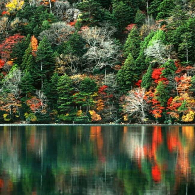 From Tokyo To Nikko Private Day Tour With English Guide - Edo-period fun, science, and park time: what this mix means for you