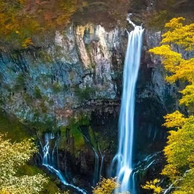 From Tokyo To Nikko Private Day Tour With English Guide - Price and value: $400 per group up to 6 people