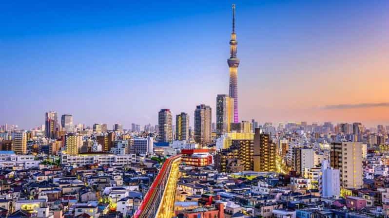 From Tokyo: Tokyo Private Customize Tour With English Driver - Key Points You’ll Care About Right Away