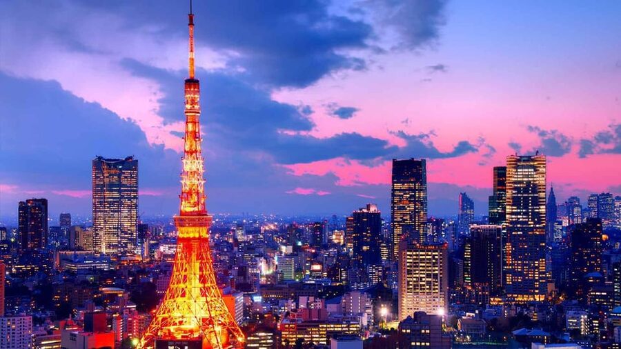 From Tokyo: Tokyo Private Customize Tour With English Driver - Why a Private Car Makes Tokyo Feel Manageable
