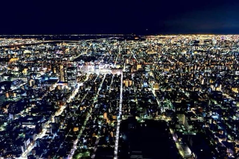 From Tokyo: Tokyo Private Customize Tour With English Driver - How Customization Works When You Care About Your Own Interests
