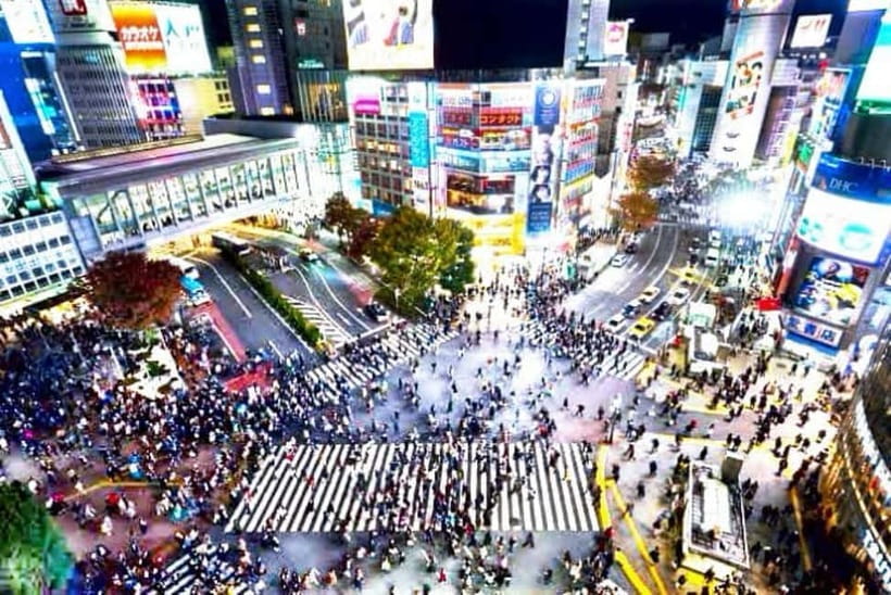 From Tokyo: Tokyo Private Customize Tour With English Driver - Starting at Your Hotel: Pickup, Comfort, and Driver Quality