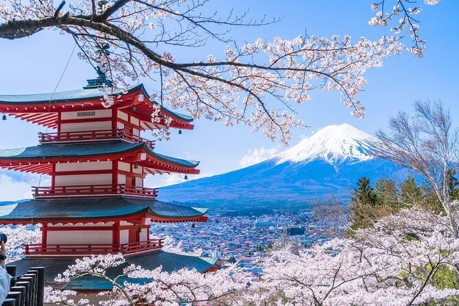 From Tokyo: Top 5 Scenic Spots of Mount Fuji Full-Day Tour - Key highlights that actually matter