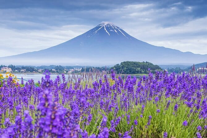 From Tokyo: Top 5 Scenic Spots of Mount Fuji Full-Day Tour - Arakurayama Sengen Park: Pagoda-Style Fuji From a Hilltop Angle
