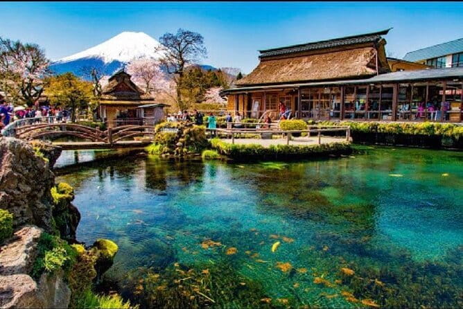 From Tokyo: Top 5 Scenic Spots of Mount Fuji Full-Day Tour - Lake Kawaguchiko and Oshi Park: Seasonal Flowers and the Classic Lake Shot