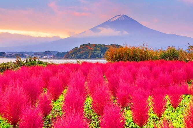 From Tokyo: Top 5 Scenic Spots of Mount Fuji Full-Day Tour - Tokyo Station to Shinjuku: Getting Oriented Before Fuji Views