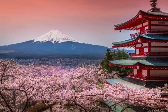 Fuji and Lake Kawaguchi Tour - Key highlights I’d zero in on