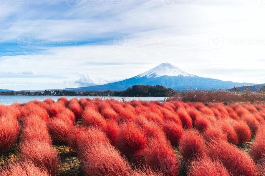Fuji/Hakone Private Tour, English speaking guide, Photograph - Key highlights worth caring about